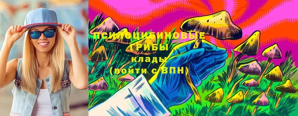 соль ск Балабаново