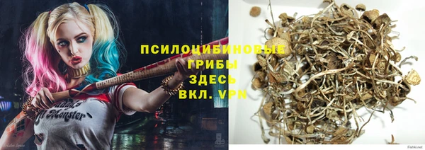тгк Баксан