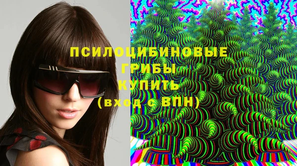 соль ск Балабаново
