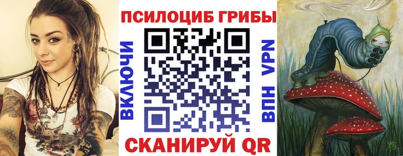 мега как зайти  Новая Ладога  Псилоцибиновые грибы GOLDEN TEACHER  где продают наркотики 