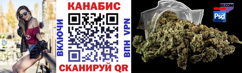 Каннабис OG Kush  Новая Ладога 